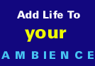 Health Herbs & Weight control